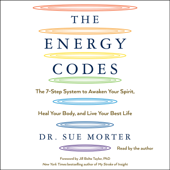 The Energy Codes (Unabridged) - Sue Morter Cover Art