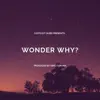 Wonder Why? - Single album lyrics, reviews, download