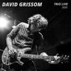 David Grissom - In the Open (Live)