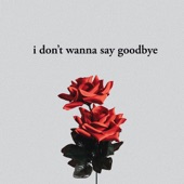 I Don't Wanna Say Goodbye artwork