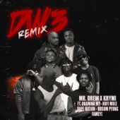 Dw3 (feat. Quamina MP, Kofi Mole, DopeNation, Bosom Pyung & Fameye) [Remix] - KRYMI & Mr Drew