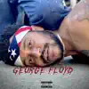 George Floyd - Single album lyrics, reviews, download