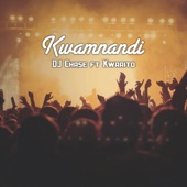 Kwamnandi (feat. Kwaaito) artwork