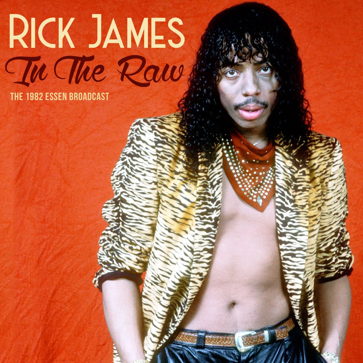 Rick James 的 专 辑(In the Raw (Live 1982)) .