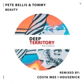 Beauty (feat. Costa Mee) [Costa Mee Remix] artwork
