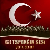 Çanakkale Türküsü artwork