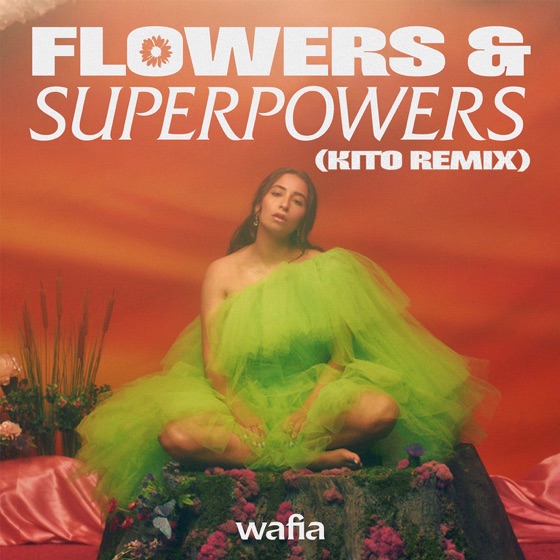 Cover artwork for Flowers & Superpowers (Kito Remix)