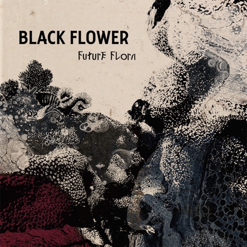 Album artwork of Black Flower – Future Flora