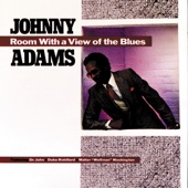 Room with a View of the Blues (feat. Dr. John, Duke Robillard & Walter "Wolfman" Washington) artwork