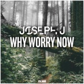 Why Worry Now artwork