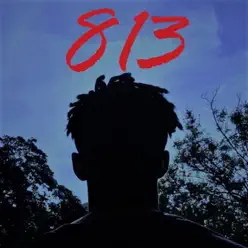 813 - Messenger 813 - Messenger