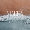 MAREA