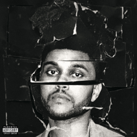 The Weeknd - In the Night artwork