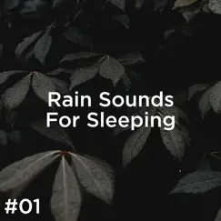 Sleep Rain Sounds Song Lyrics