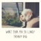 What Took You So Long? - Therapy Dog lyrics
