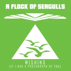 Wishing (If I Had a Photograph of You) - A Flock Of Seagulls