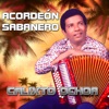 Los Corraleros de Majagual - Los Sabanales