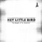 Every Somersault - Hey Little Bird lyrics