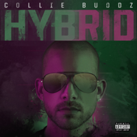 Collie Buddz - Hybrid artwork