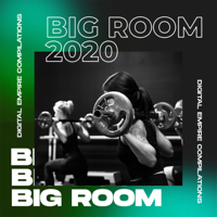 Various Artists - Big Room 2020 artwork