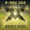X-Ray Dog - Only The Brave