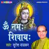 Om Namah Shivaya - EP album lyrics, reviews, download
