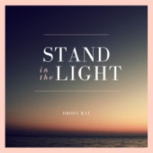 Stand in the Light artwork