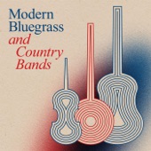 Modern Bluegrass and Country Bands artwork