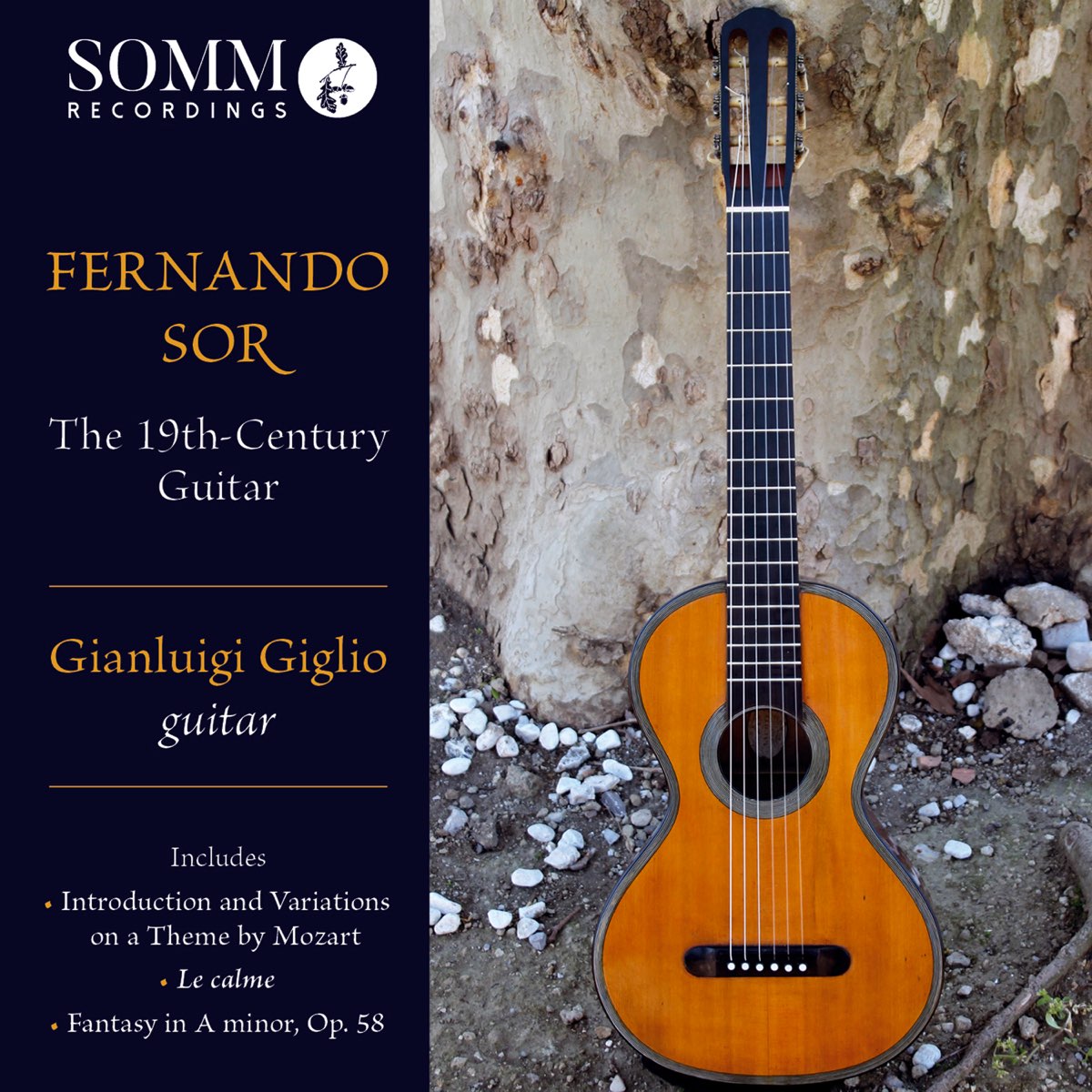 snap Syndicaat verlamming The 19th-Century Guitar by Gianluigi Giglio on Apple Music