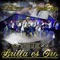 No Todo Lo Que Brilla Es Oro (feat. Banda 3 Rios) - Traviezoz de la Zierra & Banda 3 Rios lyrics