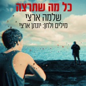 כל מה שתרצה artwork