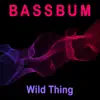 Stream & download Wild Thing - Single