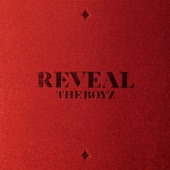 REVEAL artwork