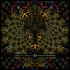 Space Organ - 2030