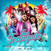 Tan Tranquilo (feat. Omy Alka, Kavelo y No Drama, Jahazielband & R Nova) artwork