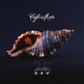 Café Del Mar XXV  cover