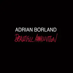 Beautiful Ammunition - Adrian Borland
