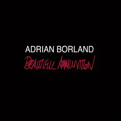 Beautiful Ammunition - Adrian Borland