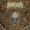 Archaic Vision of Despair - Mortiferum lyrics