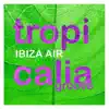 Tropicalia Groove - EP album lyrics, reviews, download