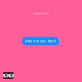 why are you here artwork