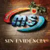 Stream & download Sin Evidencia - Single