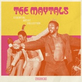 The Maytals - Give Peace a Chance