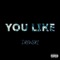 You Like - Drewski_ lyrics