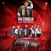 Ari Correia Relembrando o Passado - Single