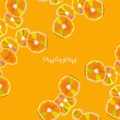 Cowbird - Tangerine