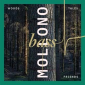 Woods, Tales & Friends artwork