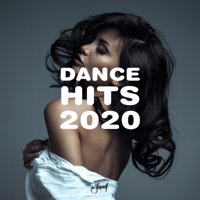 Various Artists - Dance Hits 2020 artwork