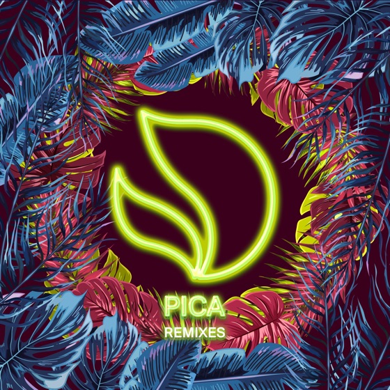 Cover artwork for Pica