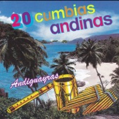 20 Cumbias Andinas artwork